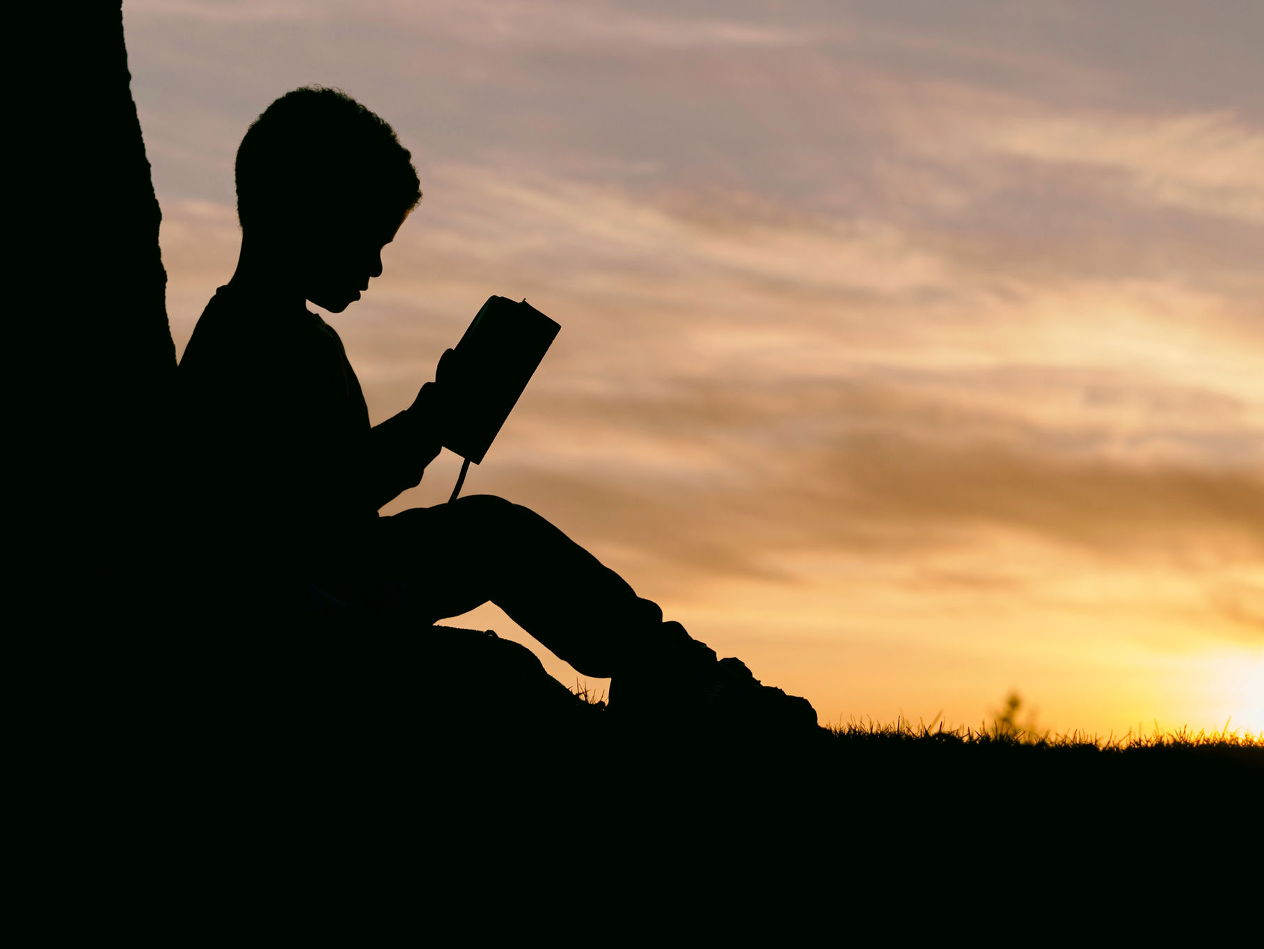 Силует дитини, яка читає книжку під деревом на заході сонця